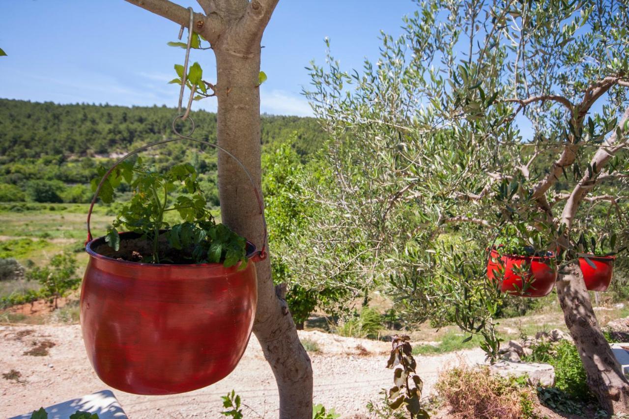 Easy Holiday Skradin Exterior photo
